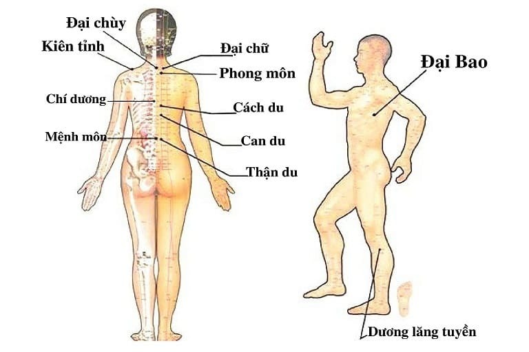 dich-vu-bam-huyet-tai-nha-o-dinh-2-ha-noi