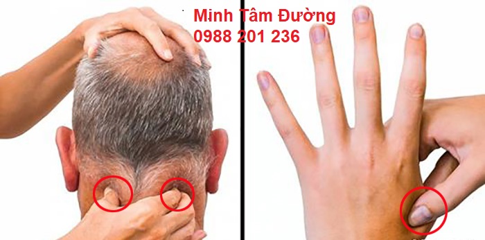 dich-vu-xoa-bop-bam-huyet-tai-nha-khu-vuc-kim-ma